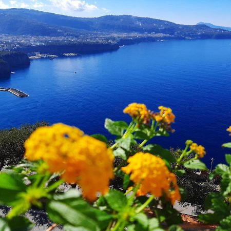 Apartamento Bella Vista House-Sorrento Coast - Free Parking-Solarium Vico Equense Exterior foto
