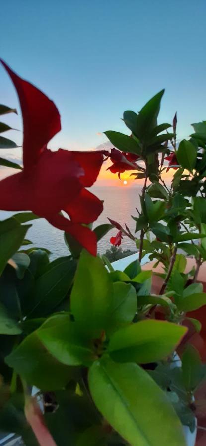 Apartamento Bella Vista House-Sorrento Coast - Free Parking-Solarium Vico Equense Exterior foto