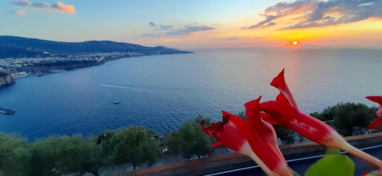 Apartamento Bella Vista House-Sorrento Coast - Free Parking-Solarium Vico Equense Exterior foto